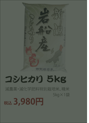 新潟岩船産・コシヒカリ